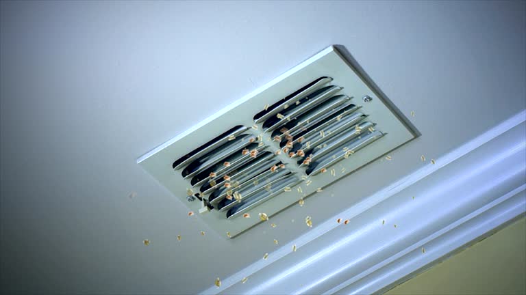 Best Professional Duct Cleaning Services  in Liberty, UT