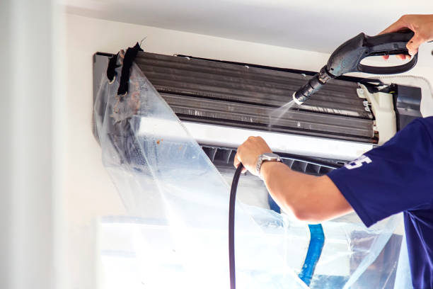 Best Air Duct Mold Removal  in Liberty, UT