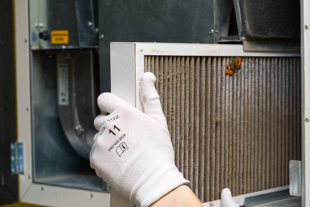 Best Home Air Vent Cleaning  in Liberty, UT