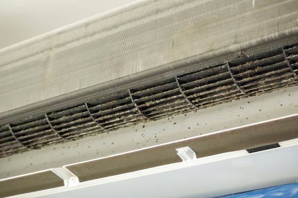 Air Duct Mold Removal in UT